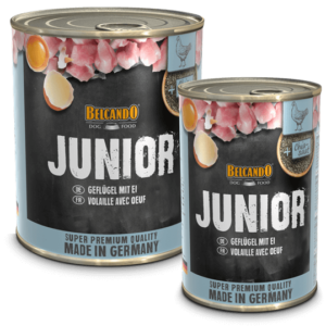Junior ave con huevo