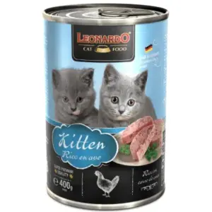 LEONARDO Kitten Rico en ave