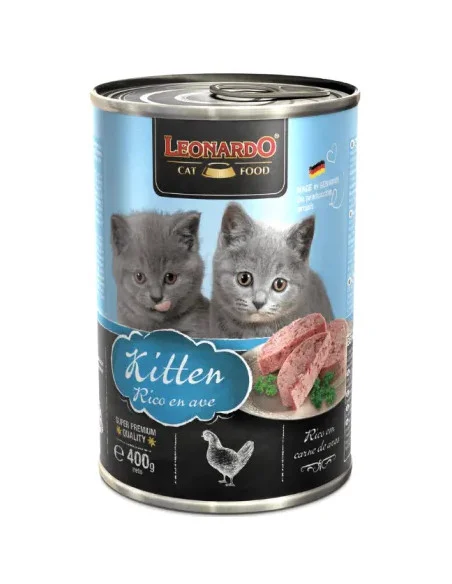 LEONARDO Kitten Rico en ave