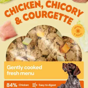 NUTRIMENT Pollo, achicoria y calabacín (cocinado)