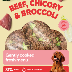 NUTRIMENT Ternera, achicoria y brócoli (cocinado)