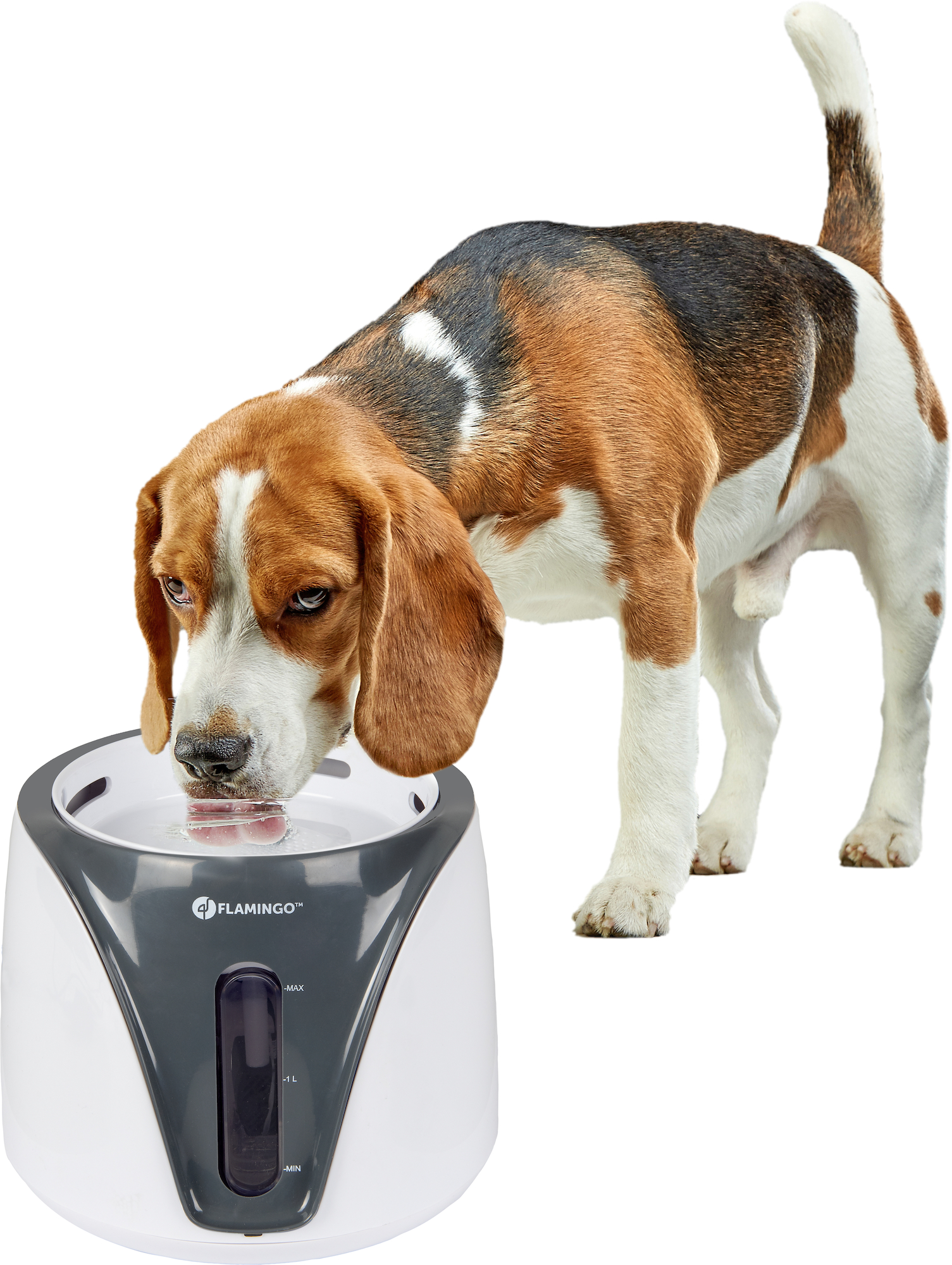 FLAMINGO Fuente Adriana - Imagen 2