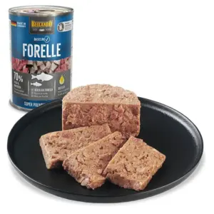 BELCANDO Baseline Trucha