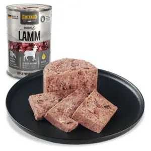 BELCANDO Baseline Cordero