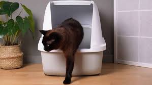 Complementos y accesorios