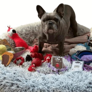 Complementos y accesorios