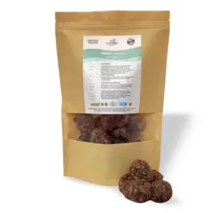 NATURCANIN Albóndigas vacuno