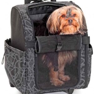 FLAMINGO Trolley City