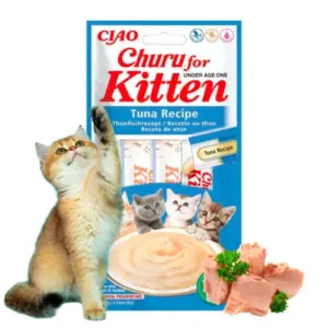 CHURU kitten atun