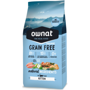 OWNAT. Cat Prime Kitten