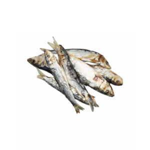 EL REY DE LA CASA. Sardinas