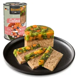 BELCANDO. Holistic Salmon