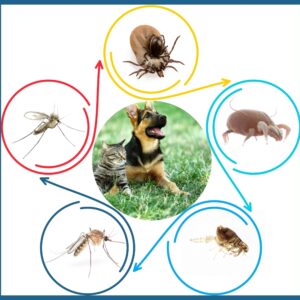 ANTIPARASITARIOS