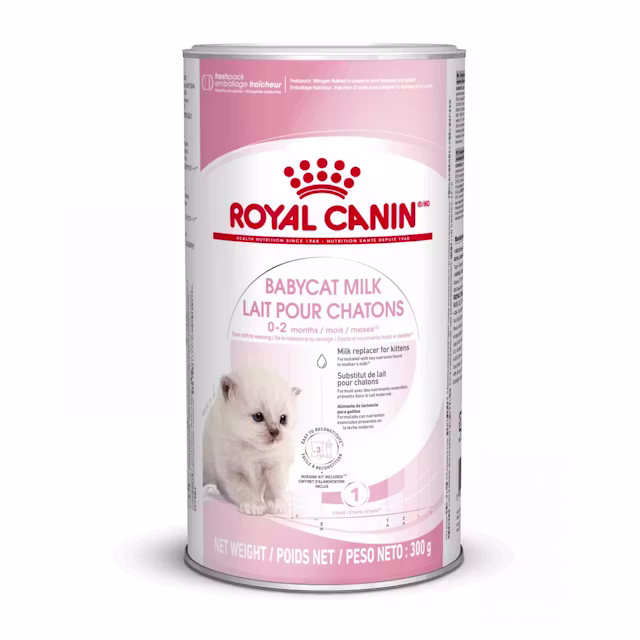ROYAL CANIN. Babycat Milk